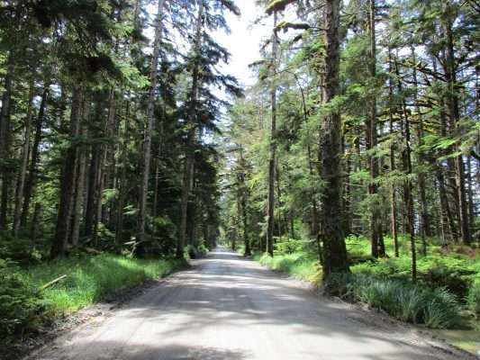 haida-gwaii-2