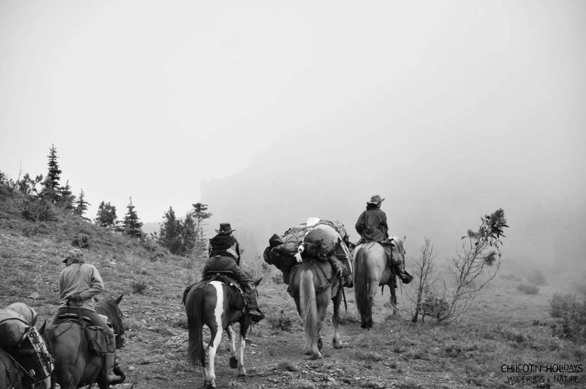 po-divjini-1