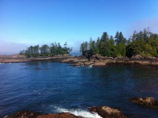 tofino